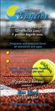 Starter offer Term 3 Brighton Tennis 2 _small