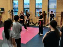 Free Introductory Lesson Brunswick Gyms _small