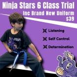 Kids Trial Classes - 6 classes only $19:50 AND we will gift you a free uniform to keep Thornbury Karate Clubs _small