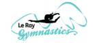 Le Ray Gymnastics Holiday Camps for Kids Birchgrove Community School Holiday Activities
