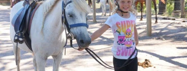 Sunshine Coast Horse Riding for kids Beenaam Valley Horse Riding